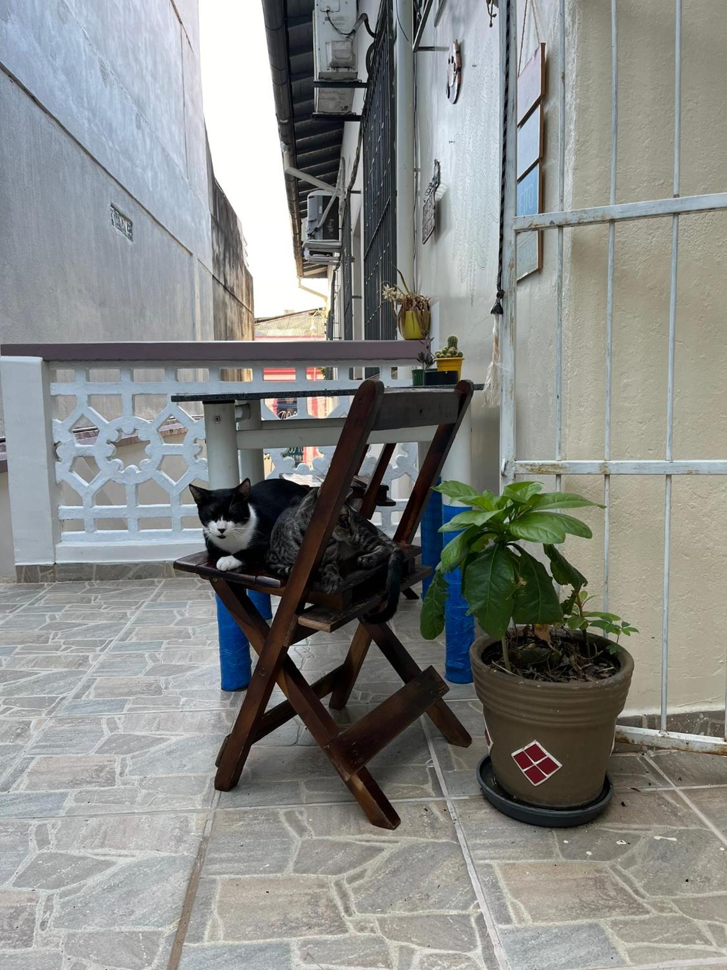 Aldeia Hostel Μανάους Εξωτερικό φωτογραφία